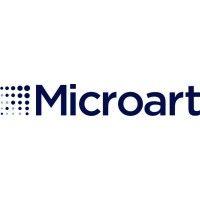 microart systems india pvt. ltd. logo image