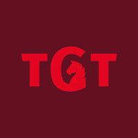 talent group twente (tgt) logo image