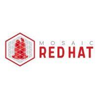 arby's | mosaic red hat group, llc logo image