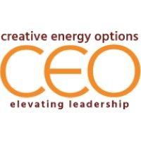 creative energy options logo image