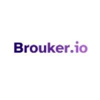 brouker.io logo image