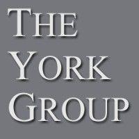 the york group logo image