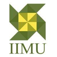 indian institute of management udaipur logo image