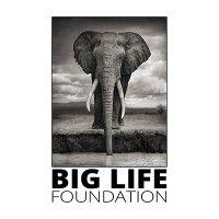 big life foundation logo image