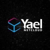 netcloud by yael group - premier netsuite partner logo image