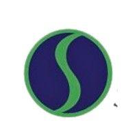 organization solutions, llc logo image