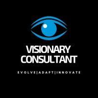 visionary business consultants inc. logo image