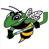 edina hockey association logo image