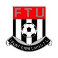 flint town united football club logo image