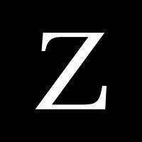 zagins logo image