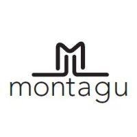 montagu group logo image