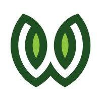 wilderness media logo image