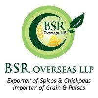 bsr overseas llp logo image