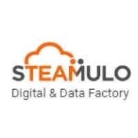 steamulo logo image