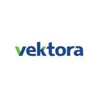 vektora logo image