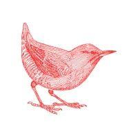 red canary marketing logo image