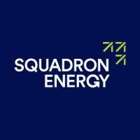 squadron energy logo image