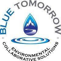 blue tomorrow, llc logo image