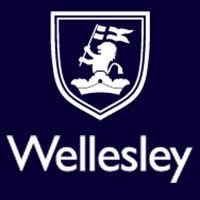 wellesley group ltd logo image