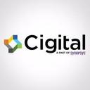 logo of Cigital Inc A Part Of Synopsys