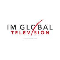 im global television logo image