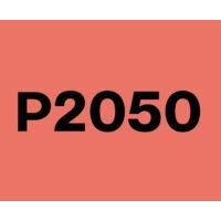 project 2050 logo image