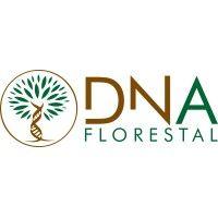 dna florestal