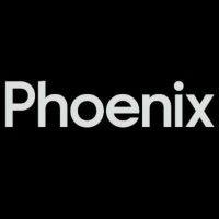 phoenix cinema and art centre logo image