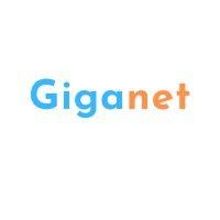 giganet technologies logo image