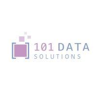 101 data solutions logo image