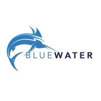 blue water logo image