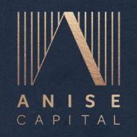 anise capital logo image