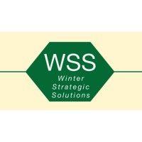 winter strategic solutions, llc logo image