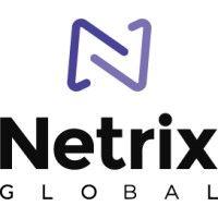 netrix global logo image