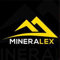 mineralex group logo image