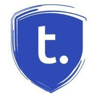 thein security logo image