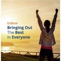 exbow limited