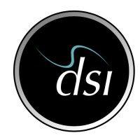 dsi distribution systems international logo image