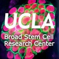 ucla broad stem cell research center logo image