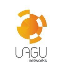 iagu networks logo image