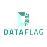 dataflag ltd. logo image