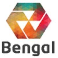 bengal group limited logo image