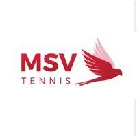 mauve sports-msv ohg logo image