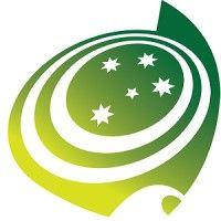 australian flying disc association (afda) logo image