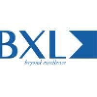 bxl - beyond excellence logo image