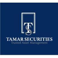 tamar securities, llc logo image