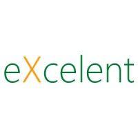 excelent.it logo image