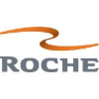 roche ltd, consulting group