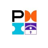 project management institute® pernambuco, brazil (pmi-pe) logo image