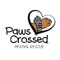 paws crossed animal rescue inc. logo image